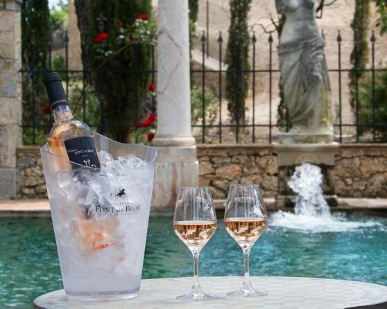 Provence Wine Tour - Private Day Tour from Nice - Key Things I’d Remember Before You Go