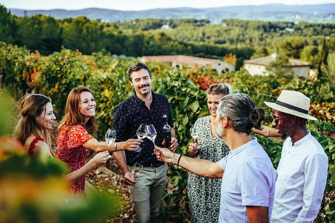 Provence Wine Tour - Private Day Tour from Nice - Why This Provence Tour Feels Worth the Price From Nice