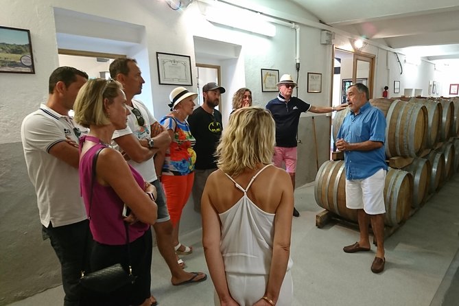 Provence Wine Tour - Private Day Tour from Nice - Stop 3 at Château Saint-Esprit: Olive-Tree Shade and Four Generations of Production