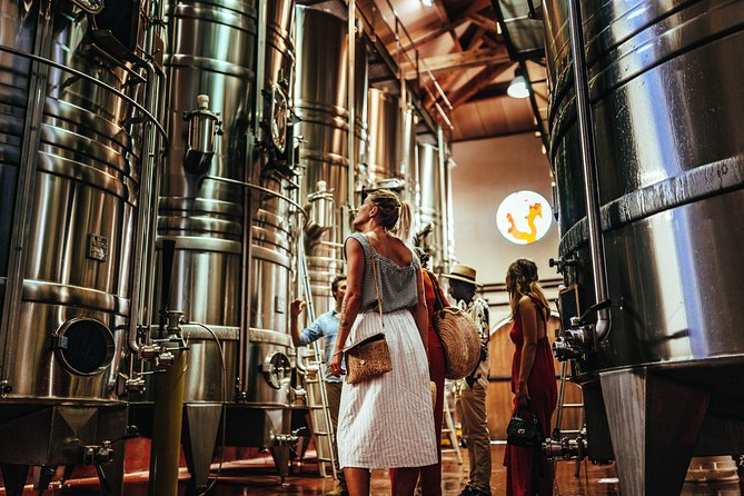 Provence Wine Tour - Private Day Tour from Nice - The Wine Tasting Masterclass: What You’ll Actually Gain
