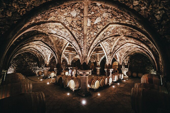 Provence Wine Tour - Small Group Tour from Nice - Price and value: is $187.53 a good deal?