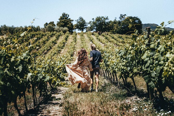 Provence Wine Tour - Small Group Tour from Nice - Who this tour suits best, and who should skip it