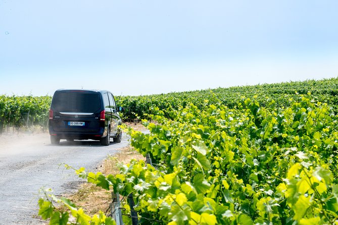 Reims afternoon tour Champagne and family growers - What is not included, and how to plan around it