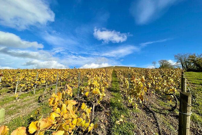 Reims or Epernay: Full day Champagne Mumm, family grower & lunch - La Montagne de Reims vineyard walk: learning by foot, not just by talk