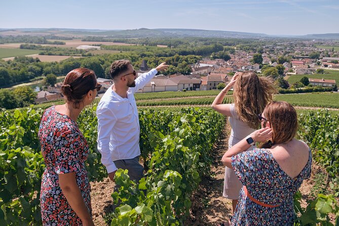 Reims or Epernay: Full day Veuve Clicquot family grower & lunch - Key highlights you will actually feel during the day