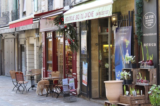 Roman Sites and Historical Places Day Trip from Avignon - Price and Value, What You’re Paying For