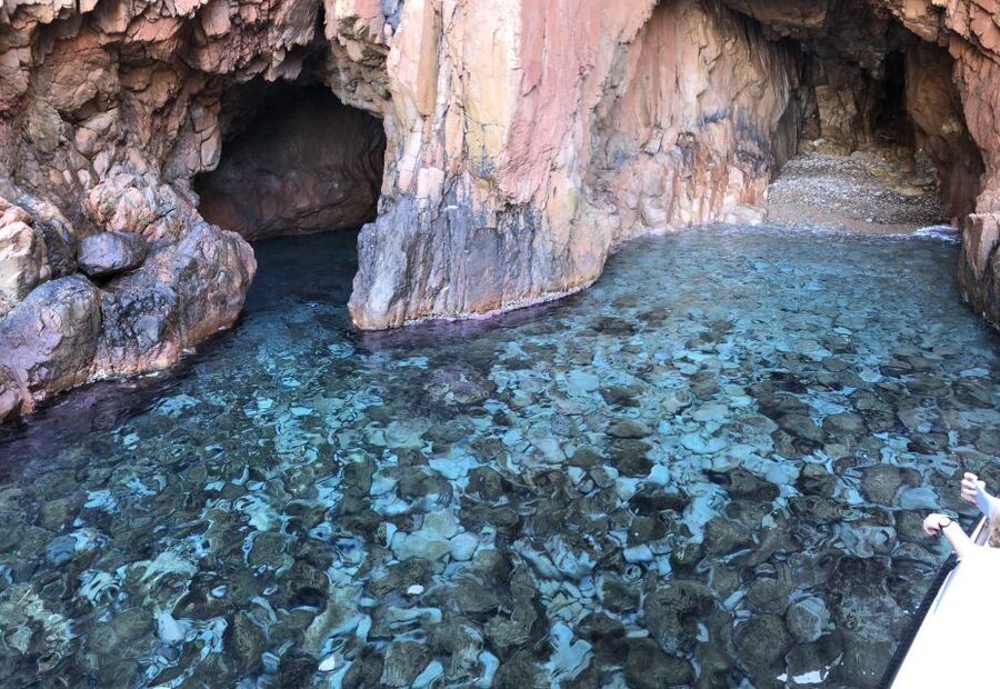 Sagone/Cargèse: Scandola, Piana, Girolata Cruise W/Swimming - Capo Rosso Swimming and the Return to Cargèse or Sagone