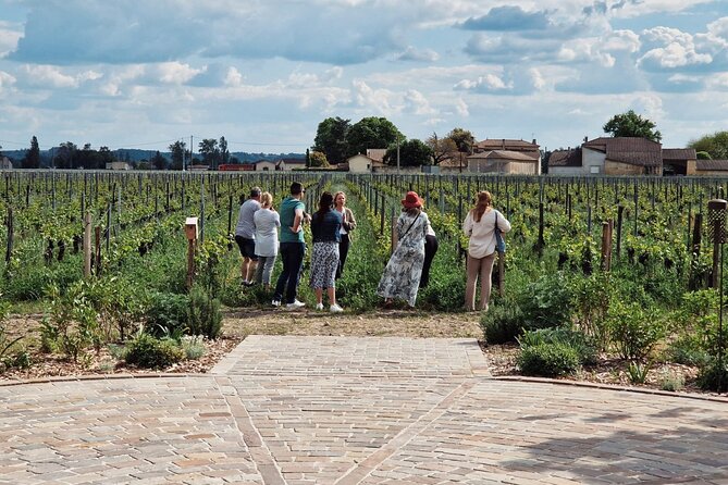 Saint-Emilion Afternoon Wine Tour - 2 Wineries & delicacies - Meeting in Bordeaux, then heading straight into wine country