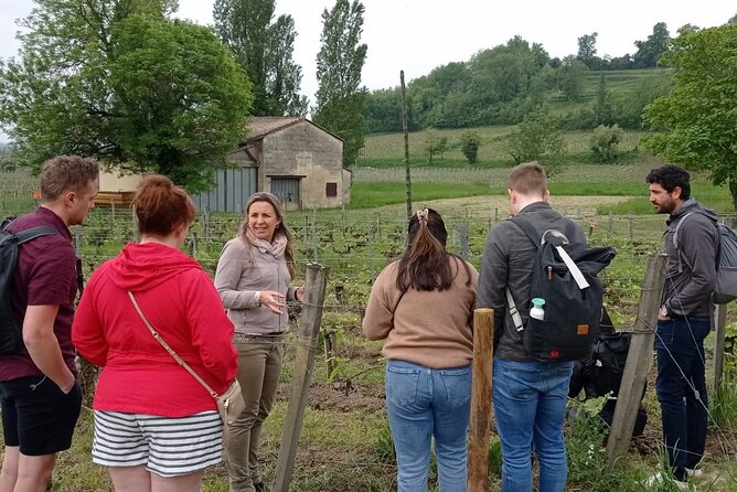Saint-Emilion Afternoon Wine Tour - 2 Wineries & delicacies - Tips to keep the afternoon smooth and enjoyable