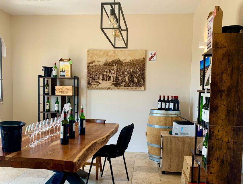 Saint-Émilion: Bordeaux Vineyard Tour and Wine Tasting - Key things to know before you go