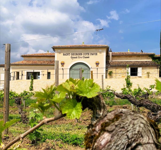Saint-Émilion: Bordeaux Vineyard Tour and Wine Tasting - The three wine tastings: what to notice in each glass