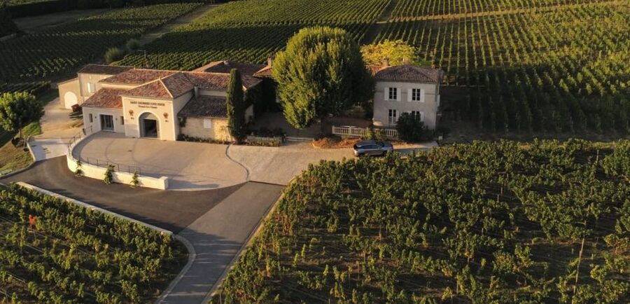 Saint-Émilion: Bordeaux Vineyard Tour and Wine Tasting - Saint-Émilion’s medieval village feel, and how to pair this tour with town time