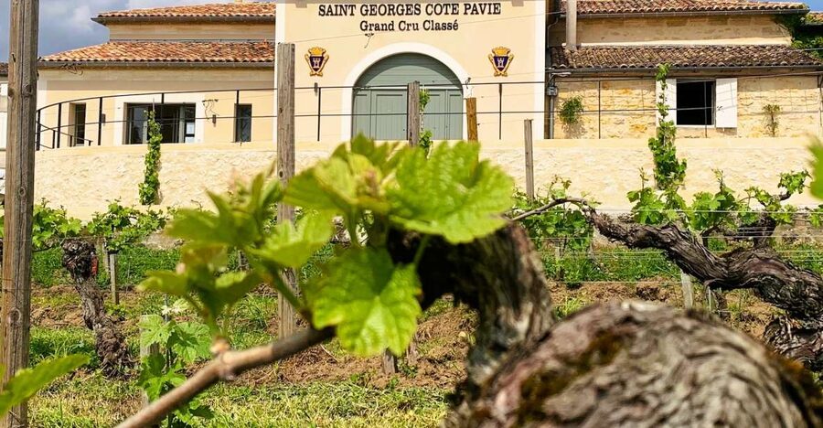 Saint-Émilion: Bordeaux Vineyard Tour and Wine Tasting - Price, group size, and timing: does $21 feel fair?