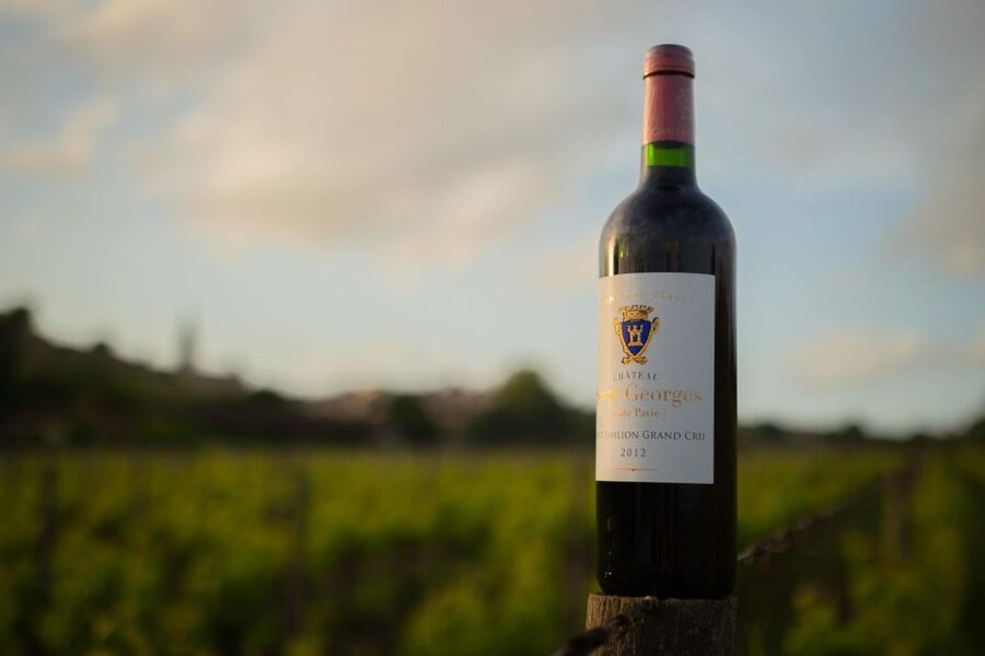 Saint-Émilion: Bordeaux Vineyard Tour and Wine Tasting - Who this Saint-Émilion wine tour suits best