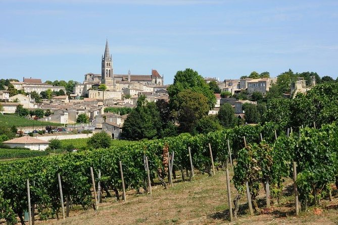 Saint-Émilion day tour: village visit, Châteaux and lunch - Château visit with cellar tour, three wines, and the vineyard picnic lunch