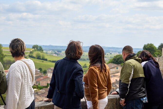Saint-Émilion day tour: village visit, Châteaux and lunch - The van ride: vineyard context you can actually use