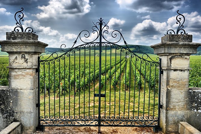 Saint Emilion Day Trip with Sightseeing Tour & Wine Tastings from Bordeaux - UNESCO Saint-Émilion village: 45 minutes of guided history, then your own pace