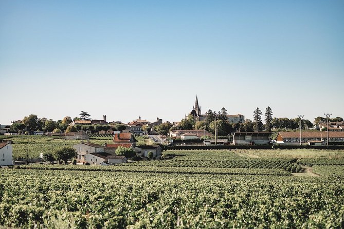Saint-Emilion Electric Bike Day Tour with Wine Tastings & Lunch - Saint-Émilion village walk: UNESCO medieval streets and a final wine shop stop