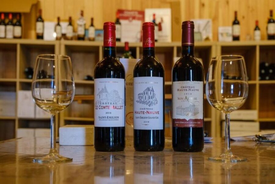 Saint-Émilion: Family Vineyard Visit with Wine Tasting - Key things that make this tour worth your time