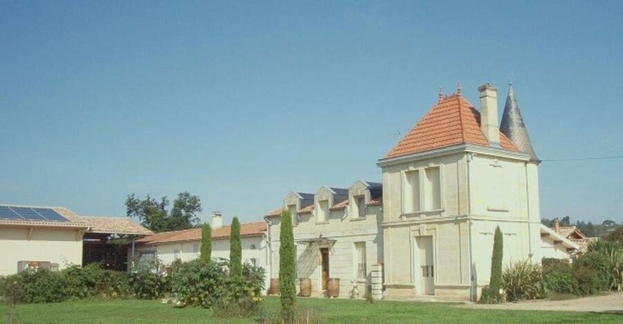 Saint-Émilion: Family Vineyard Visit with Wine Tasting - Vineyard walk: Saint-Émilion grape basics you can actually use