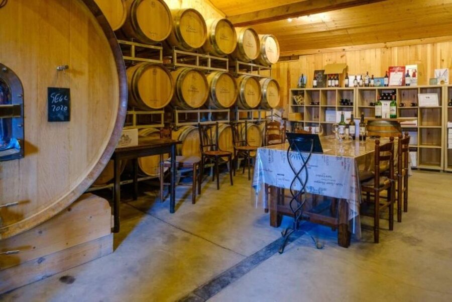 Saint-Émilion: Family Vineyard Visit with Wine Tasting - Tasting four Château Haute-Nauve wines, including 2 Grand Cru