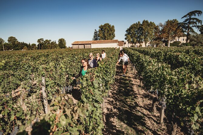 Saint-Emilion Food and Wine Day Tour - Meeting at Rustic Vines, Then Riding Calmly to Saint-Émilion