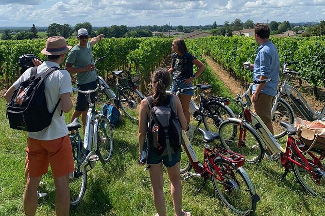 Saint Emilion Full Day Wine and Bike Tour - Is 216.56 a fair price for your wine and bike day?