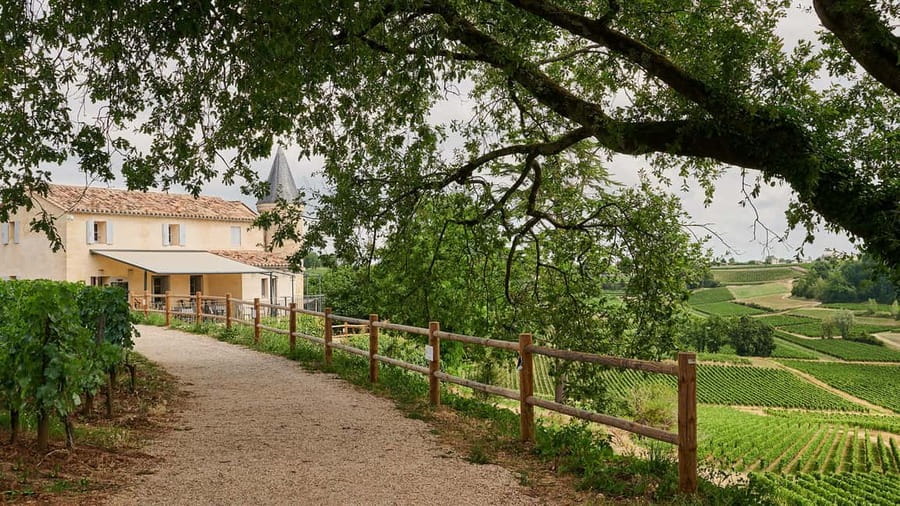 Saint-Emilion: Grand Cru Classé Guided Winery Visit & Picnic - Château La Croizille: Modern Winemaking and Panoramic Views