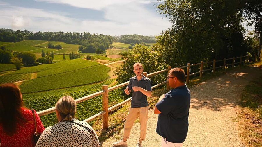 Saint-Émilion: Grand Cru Classé Winery Visit and Tasting - Key reasons this visit works