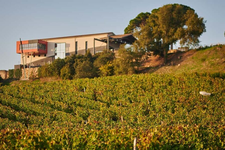 Saint-Émilion: Grand Cru Classé Winery Visit and Tasting - A 1-hour plan for Saint-Émilion wine lovers