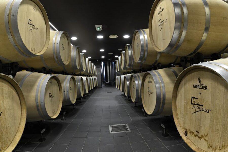 Saint-Émilion: Grand Cru Classé Winery Visit and Tasting - How the guide connects vines, cellar work, and aging