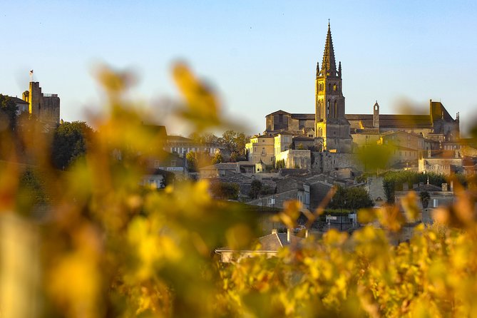 Saint Emilion Half-Day Trip with Wine Tasting & Winery Visit from Bordeaux - From Bordeaux to Saint-Émilion by air-conditioned minivan
