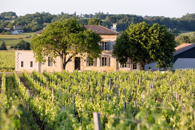 Saint Emilion Half-Day Trip with Wine Tasting & Winery Visit from Bordeaux - Red wine tasting: what to expect from the pours