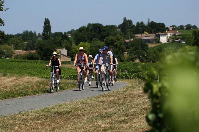 Saint-Emilion Small-Group Electric Bike Wine Tour Tastings & Lunch from Bordeaux - The Great Growth estate stop: cellars, vineyards, and wine education