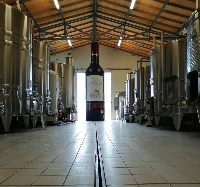 Saint-Émilion: Vineyard Walking Tour and Tasting - Key points worth knowing before you go