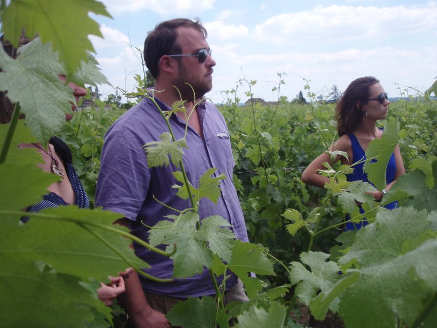 Saint-Émilion: Vineyard Walking Tour and Tasting - Château Haute-Nauve in Saint-Émilion: what makes this tour feel personal