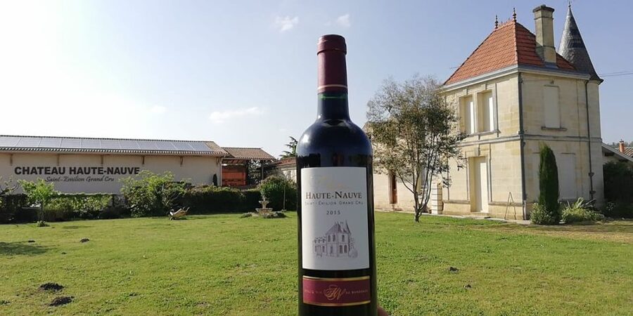 Saint-Émilion: Vineyard Walking Tour and Tasting - Wind turbine, frost worries, and sustainability choices in the vines