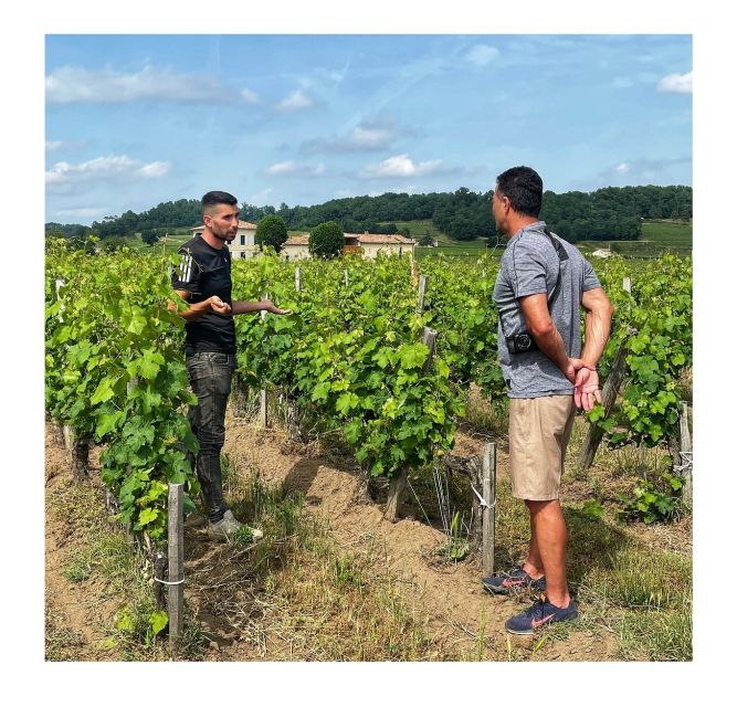 Saint-Émilion: Vineyard Walking Tour and Tasting - Barrel cellar aging and the estate tech you can see up close