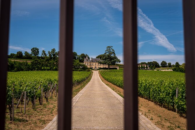 Saint-Émilion Wine Tour By Premium Electric Bike, Lunch Included - Afternoon cycling and the blue clay lesson