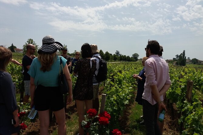 Saint Emilion Wine Tour Tasting Half Day from Bordeaux - Key points before you go