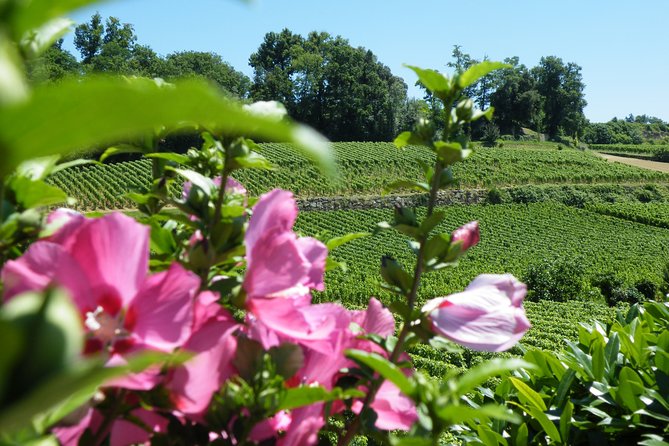 Saint Emilion Wine Tour Tasting Half Day from Bordeaux - Winery Stop Two: Family-Run Estates and the Taste of Real Craft
