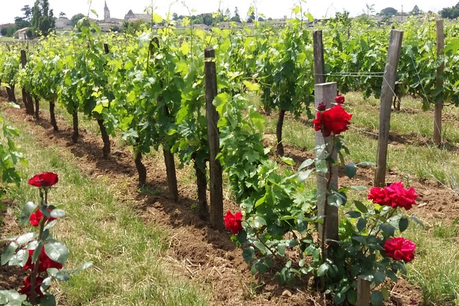 Saint Emilion Wine Tour Tasting Half Day from Bordeaux - The Aperitif and Included Snacks: What You Actually Eat Between Tastings