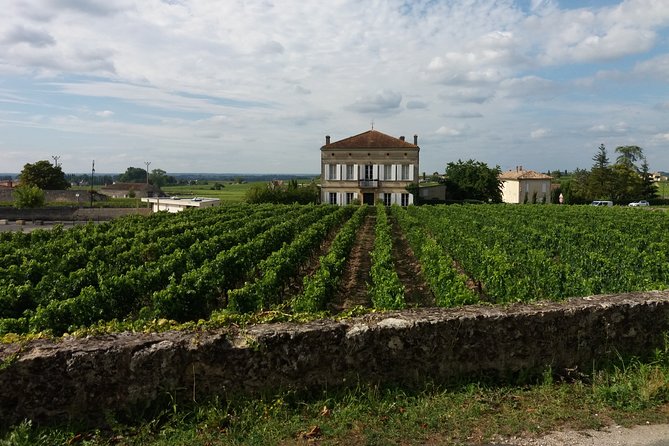 Saint Emilion Wine Tour Tasting Half Day from Bordeaux - Saint-Émilion UNESCO Village Walk: Guided Sights or Free Time