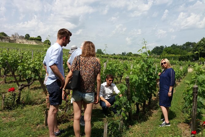 Saint Emilion Wine Tour Tasting Half Day from Bordeaux - Price and Value for $116.14: Where the Money Goes