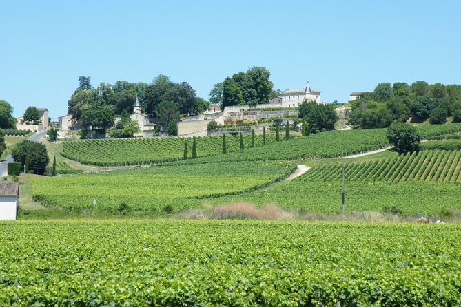 Saint Emilion Wine Tour Tasting Half Day from Bordeaux - The Road Lesson: Bordeaux Vineyard History on the Way Up