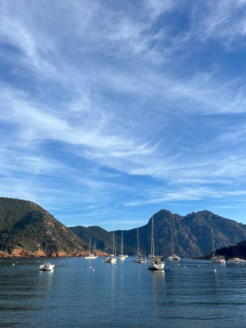 Scandola, Piana & Girolata - Who should book this, and who should think twice