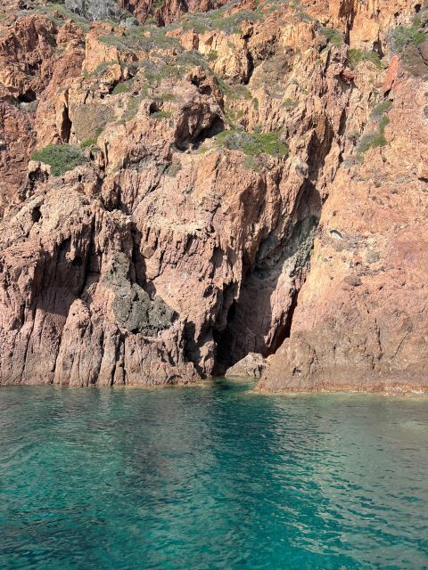 Scandola, Piana & Girolata - Marine life: why this isn’t just scenic cruising