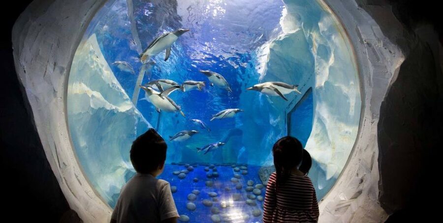 SEA LIFE Paris: Admission Ticket - Key Highlights You Should Know