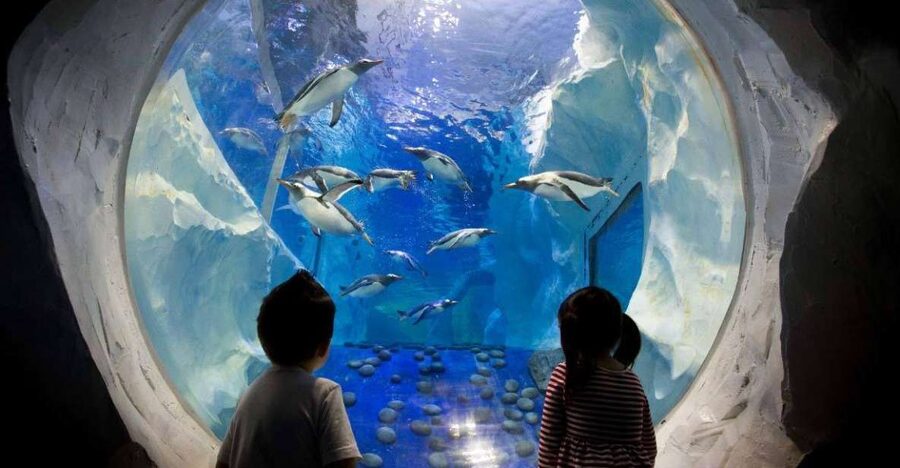 SEA LIFE Paris: Admission Ticket - Your First Walk Through: Over 2,250 Creatures to Spot