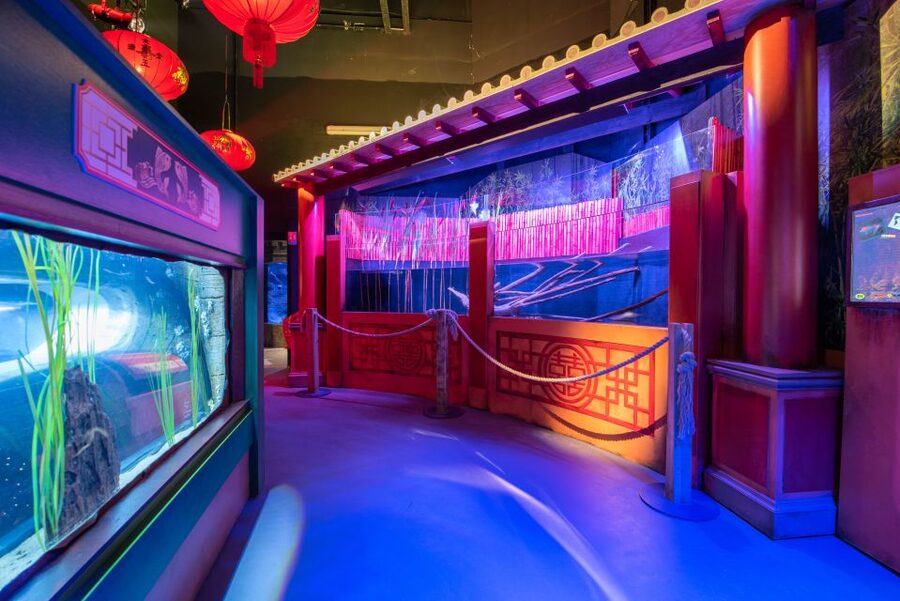SEA LIFE Paris: Admission Ticket - SEASCAN Turns Learning Into a Walk-Through Game